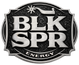 Translation missing: en.BLK SPR accessibility.home
