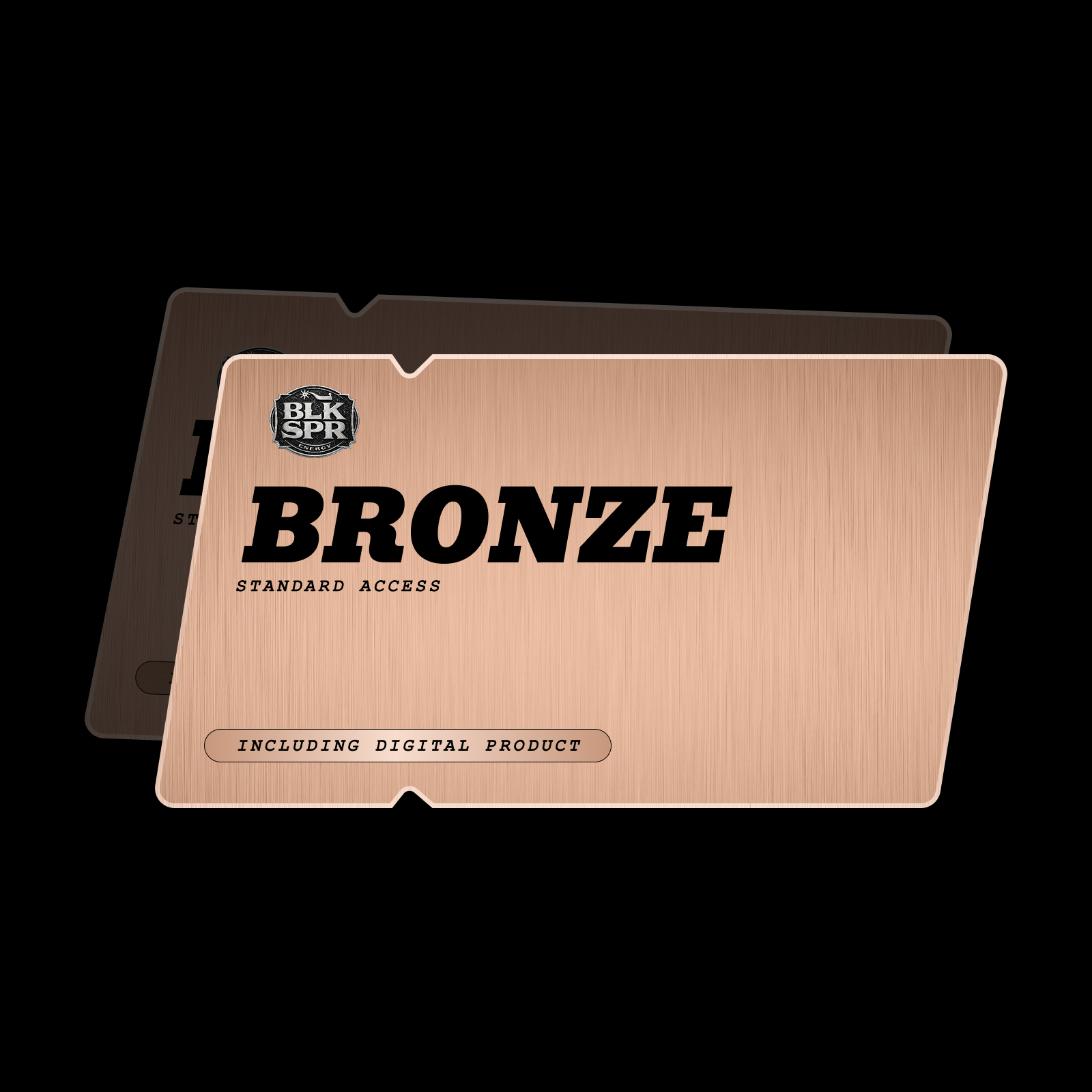 BRONZE QUICK ENTRY