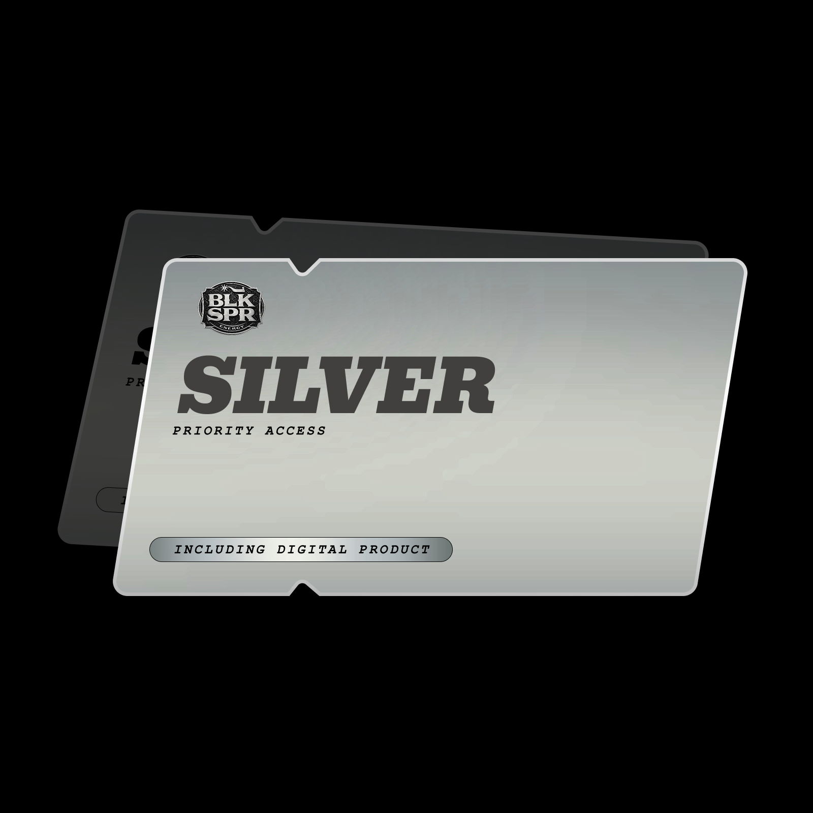 SILVER QUICK ENTRY